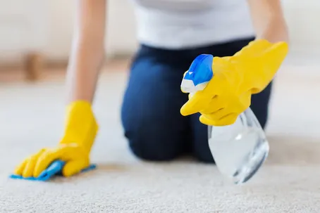 carpet cleaning spot cleaning