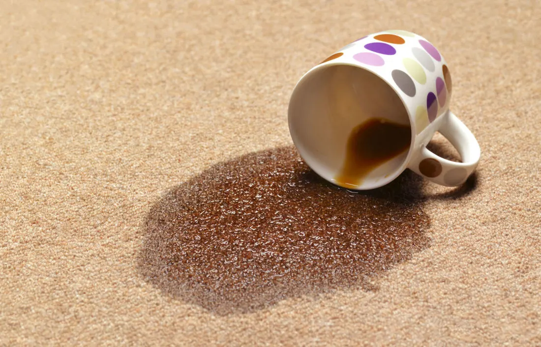 carpet cleaning north county san diego spot cleaning