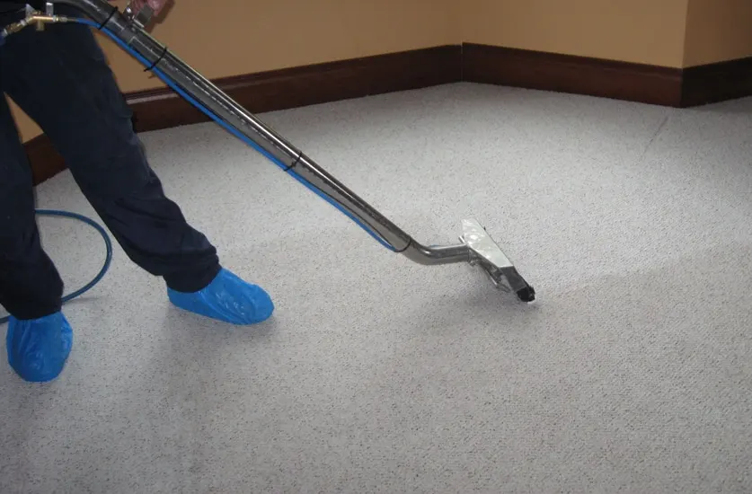 El Cajon Carpet Cleaning Rug Shampooing