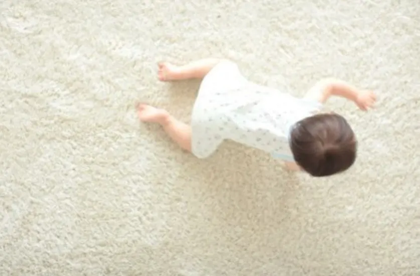 El Cajon Chemical Free Safe Carpet Cleaning