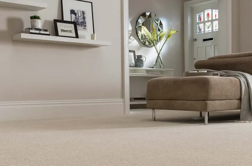 San Diego Licensed Carpet and Rug Cleaners